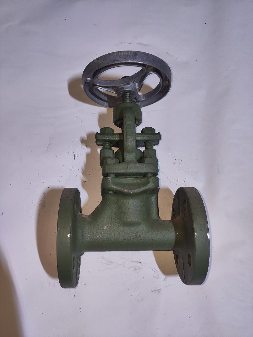 KSB Absperrventil DN 25 PN 10 1